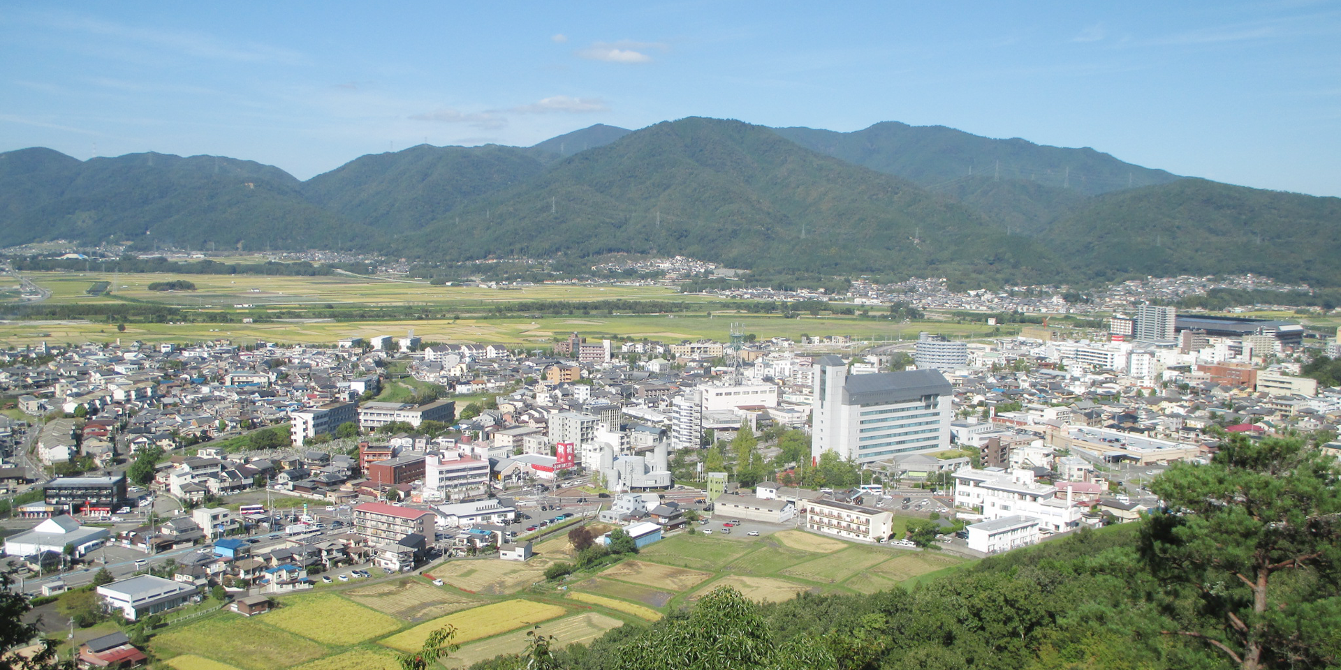 京都府土地家屋調査士会所属